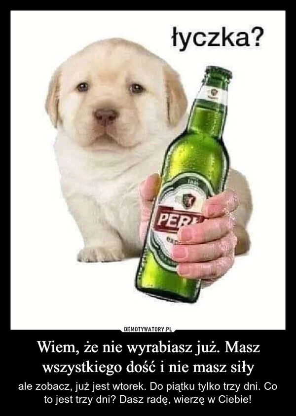 
    Wiem, że nie wyrabiasz już. Masz wszystkiego dość i nie masz siły