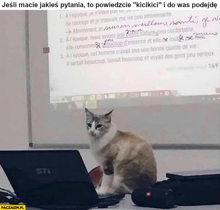 
    Kot wykładowca jeśli macie jakieś pytania to powiedzcie kicikici i do was podejdę